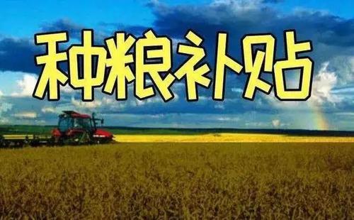 山东省粮食补贴标准