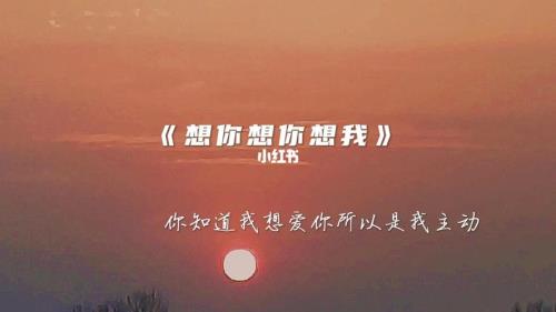 歌词里有想你想你是什么歌