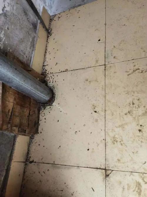 蛆在无氧的环境中能存活多久