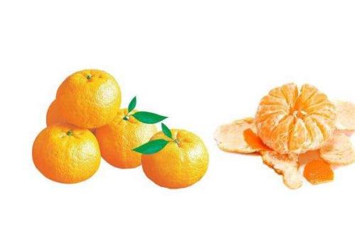 橘子全身是宝你可知多少