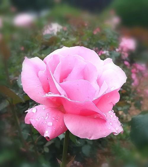5月是什么季节