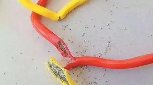电线一般多久更换