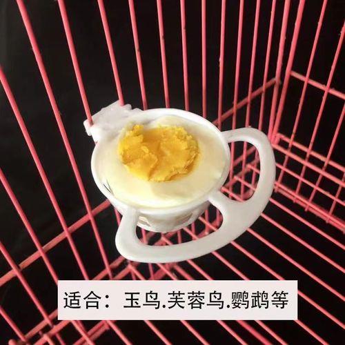 玉鸟隔几天下一个蛋
