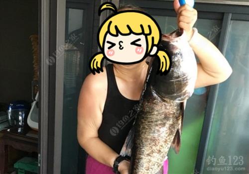 鲁班水库可以钓鲢鳙吗
