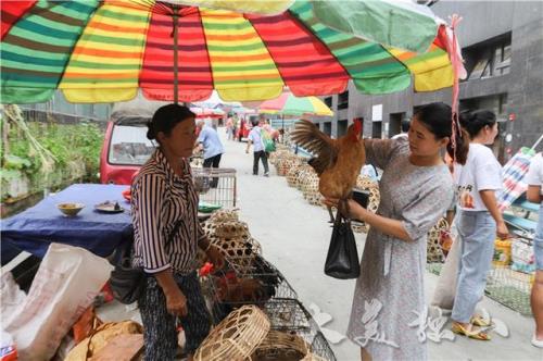 六月六买什么礼品给父母