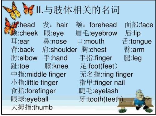 chest是哪个部位