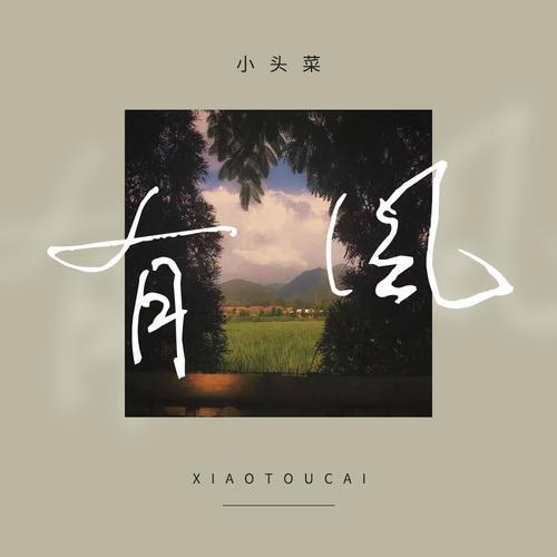 去有风的地方插曲有哪些