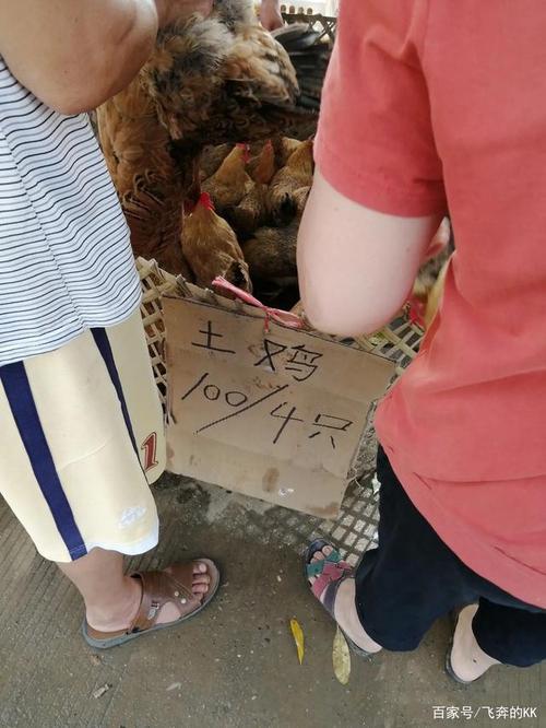 2只鸭加3只鸡等于180元