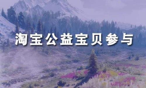 淘宝公益拍是什么