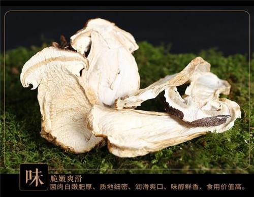 干松茸要泡多久，干松茸怎么泡发