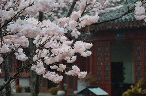 鸟道惊驰，蚁封安步什么意思