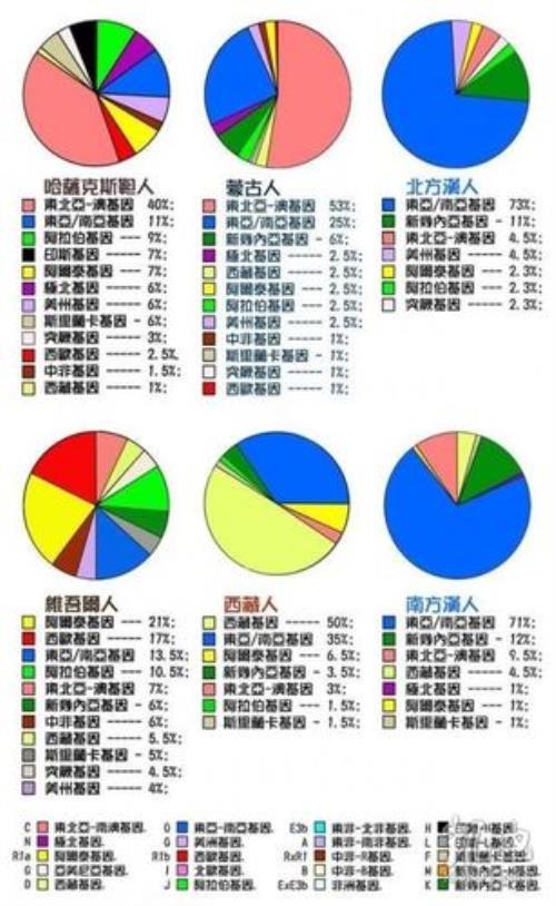 澳大利亚的主要人种有