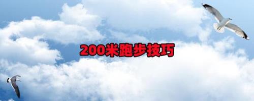 200米跑步红牛兑水比例