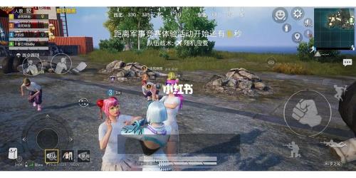 和平精英还适合孕妇初期玩吗