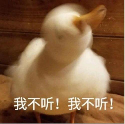 你在哭什么我没有听清出处