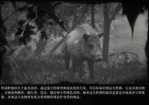 荒野大镖客2传说动物丢了怎么办