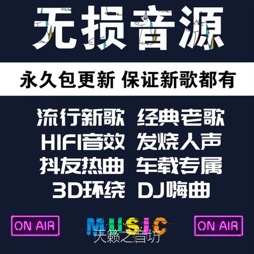 车载音乐属于什么标签