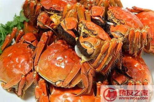 大闸蟹可以放几天