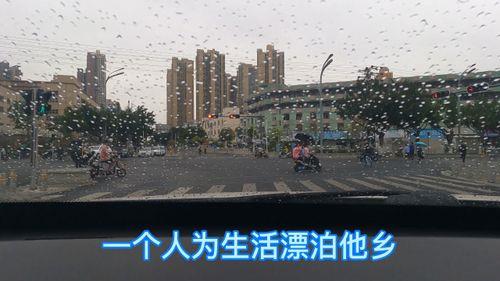 漂泊在他乡原唱完整版