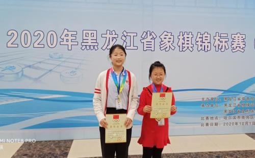 女子象棋省冠是什么水平