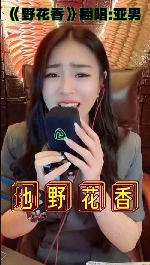 亚男15首最佳歌曲