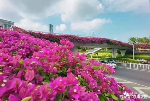 一年四季如春的城市是哪個