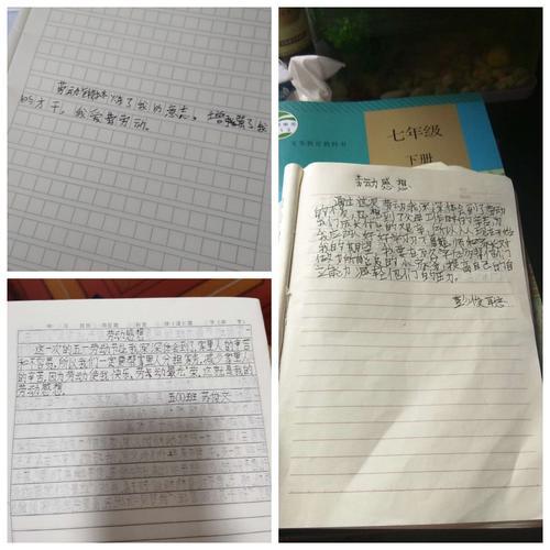 看到自己的劳动成果感想
