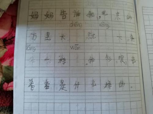 我看见什么在什么造句一年级