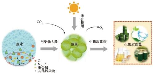 有机碳和无机碳的区别