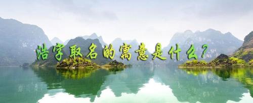 成语月宫浩龙的寓意是什么