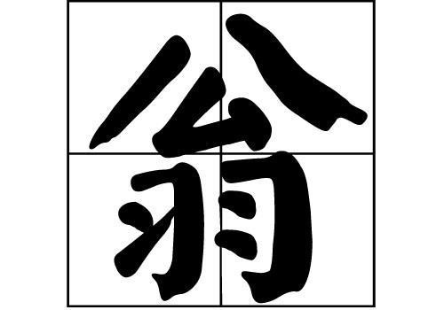 翁姓人口数量2019年总人数