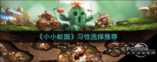 小小蚁国怎么编队