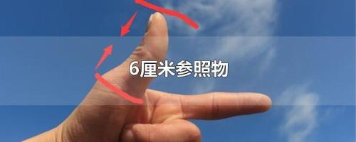 1.3厘米有多大参照物