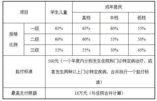 聊城居民医保分几个档