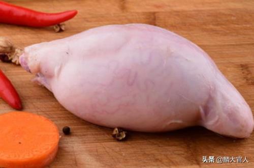 羊肚子是羊的哪个部位