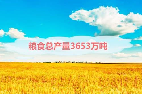 如何理解藏粮于地藏粮于枝