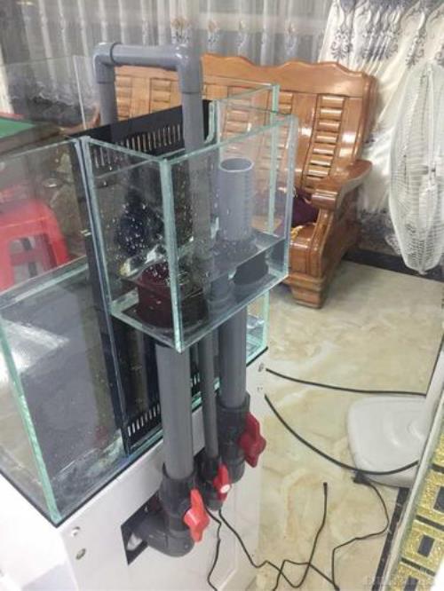 鱼缸底滤有呼噜呼噜声怎么办