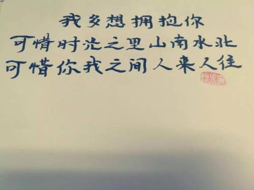 尽我所能爱你所爱是什么意思