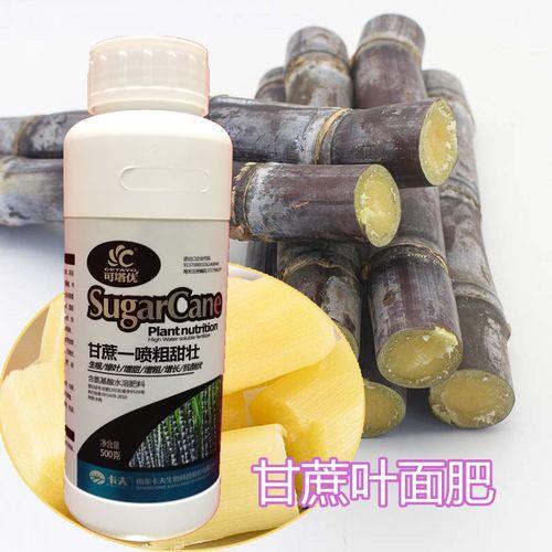 甘蔗壮伟肥什么时候施