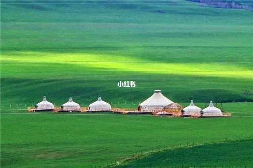 是内蒙的 要在内蒙古上学吗