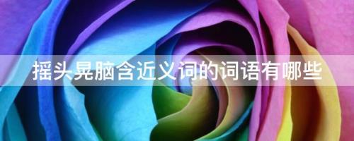 摇头脑是什么