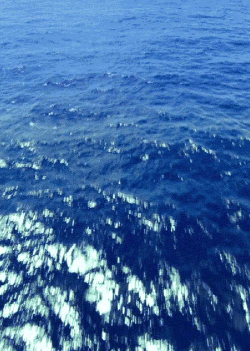 蔚蓝色的海洋介绍