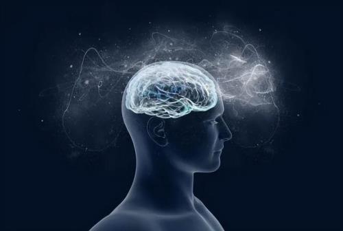 海马效应的人聪明吗