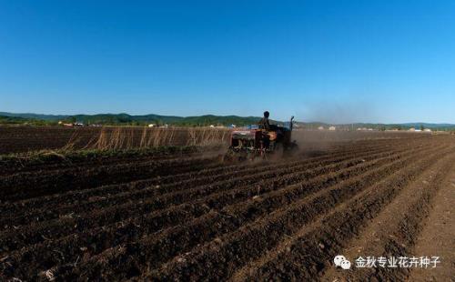 什么叫见光播种