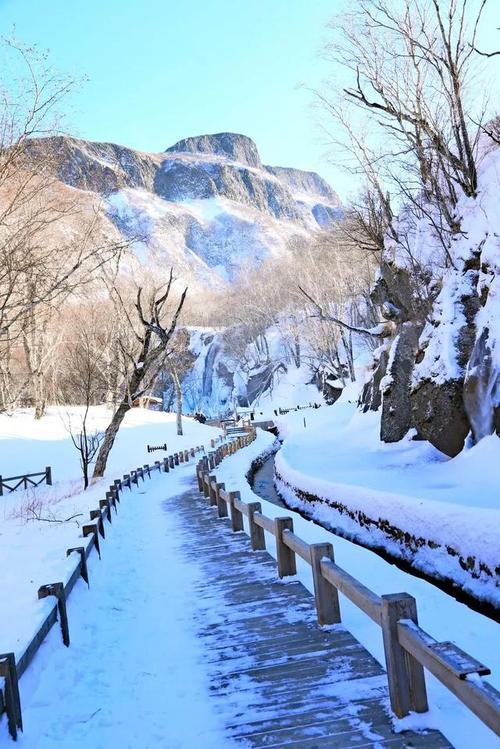 长白山上的雪花歌词