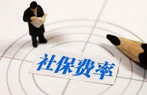 税银社保和农保是同一种吗
