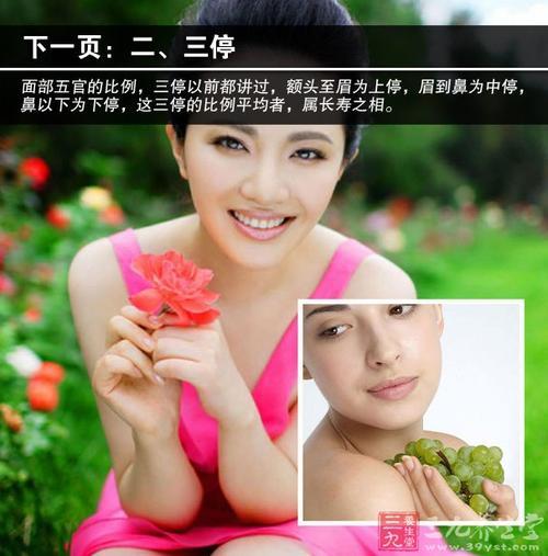 顺直是什么意思