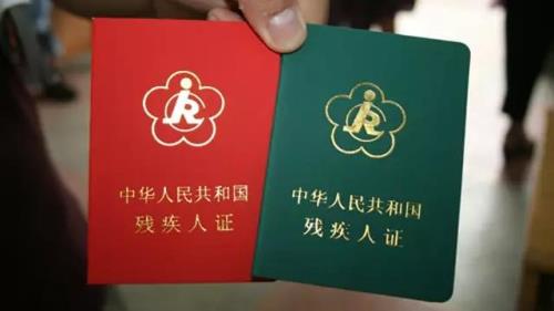 十级残疾交多少农合