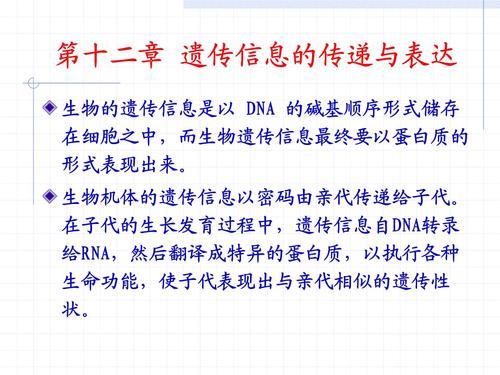 遗传信息的概念