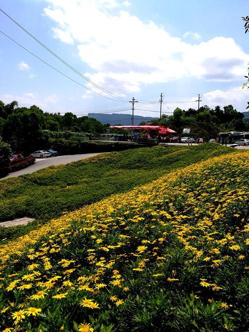南湖多彩植物园能自带菜进去吗